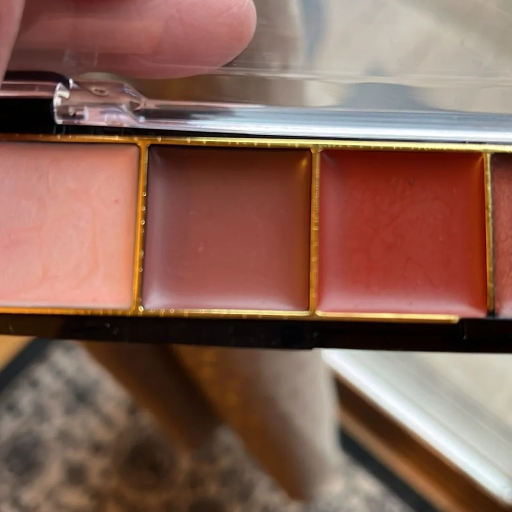 Lip gloss NWOT